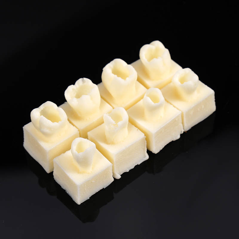 Model Kit Tool - 8pcs/set Dental Resin Filling Teeth Model
