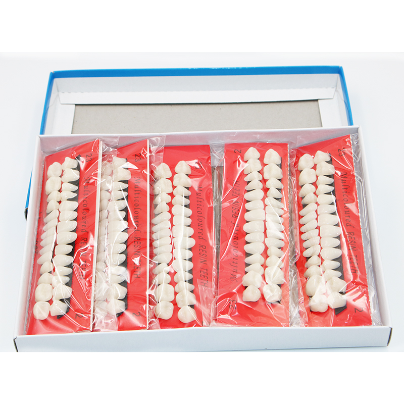 10 sets Dentistry Plastic Teet - Model Kit Tool ulasan dan harga