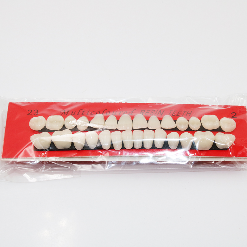 10 sets Dentistry Plastic Teet - Model Kit Tool ulasan dan harga
