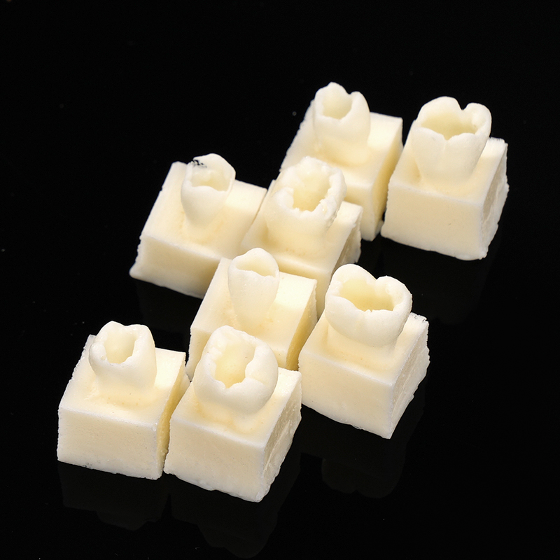 8pcs/set Dental Resin Filling  - Model Kit Tool ulasan dan harga