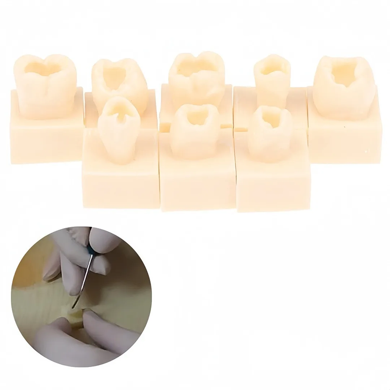 8pcs/set Dental Resin Filling  - Model Kit Tool ulasan dan harga