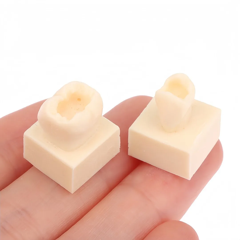 8pcs/set Dental Resin Filling  - Model Kit Tool ulasan dan harga